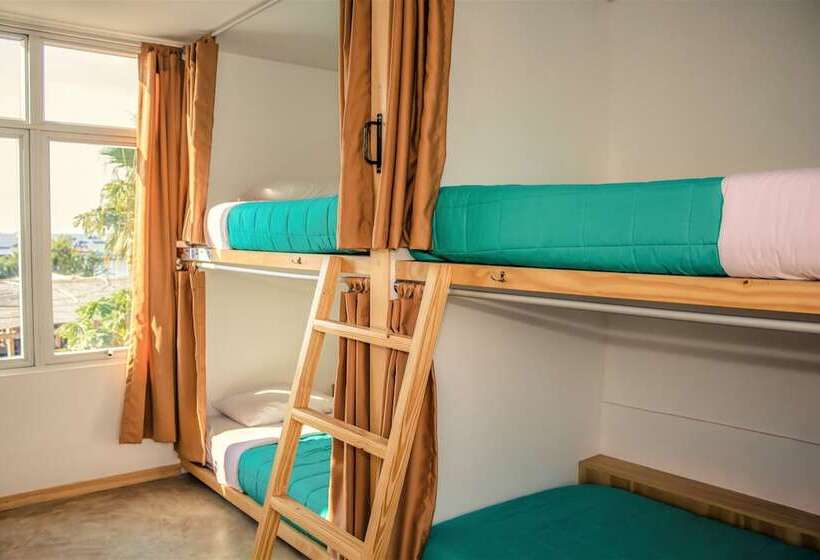 تختخواب در اتاق مشترک, Viajero Paracas Hostel