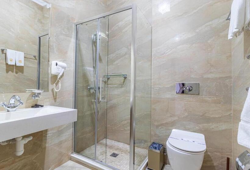 اتاق استاندارد با دسترسی به اسپا, Marion Spa Hotel & Spa   Renovation   Rooms, Spa Area, Swimming Pool, Reception, Restaurant, Lounge