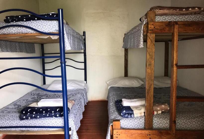 Семейный Номер, Ecolife Calima