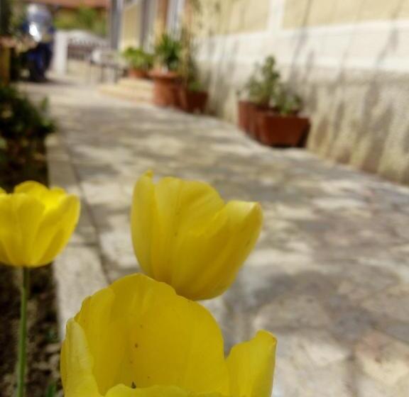 آپارتمان 2 خوابه, Tija Apartments
