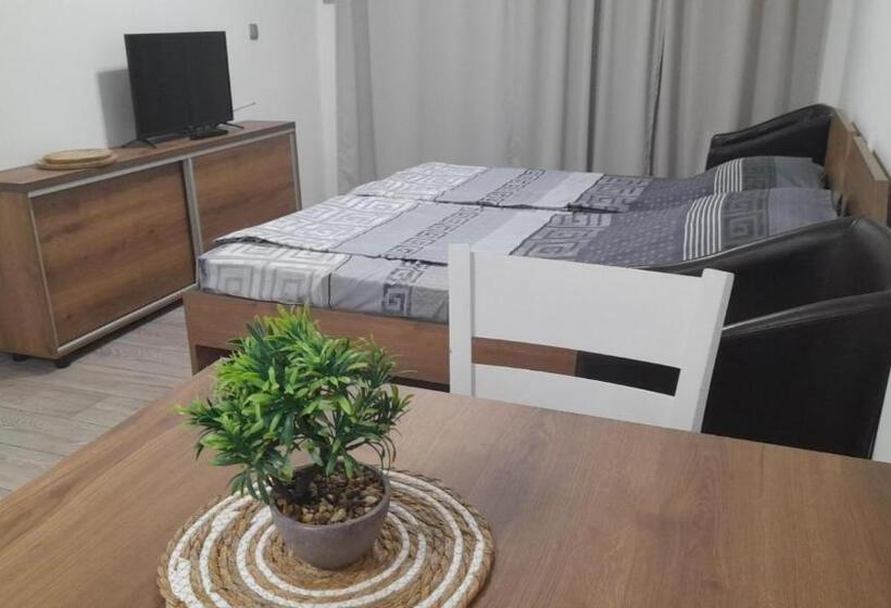 آپارتمان 1 خوابه با چشم‌انداز باغ, Tija Apartments