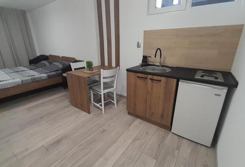 آپارتمان 1 خوابه با چشم‌انداز باغ, Tija Apartments