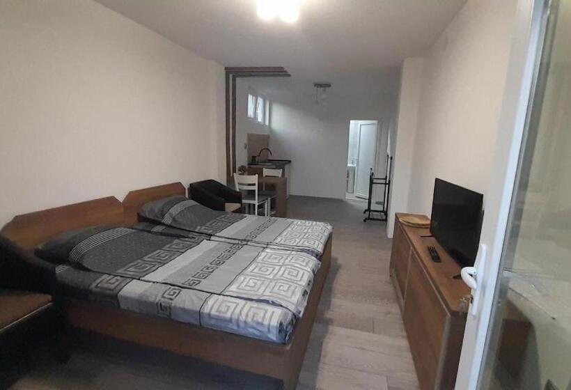آپارتمان 1 خوابه با چشم‌انداز باغ, Tija Apartments