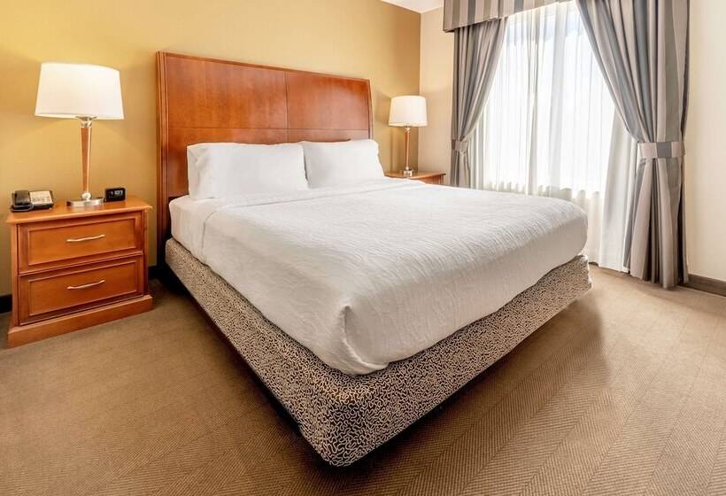 Engelliler için Standart Oda, Hilton Garden Inn Houston/the Woodlands