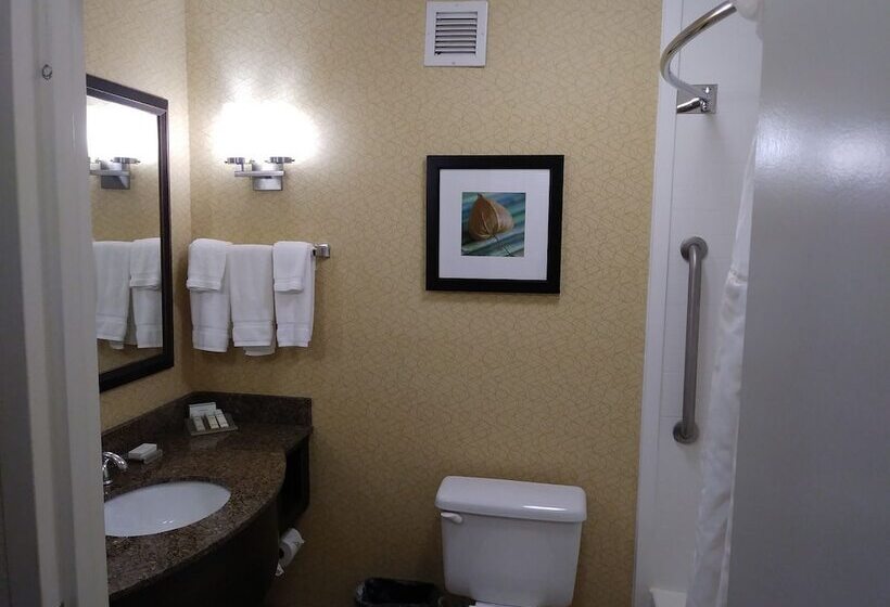 اتاق استاندارد با 2 تخت دوبل, Hilton Garden Inn Tulsa Airport