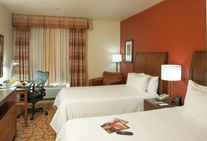 اتاق استاندارد با 2 تخت دوبل, Hilton Garden Inn Tulsa Airport