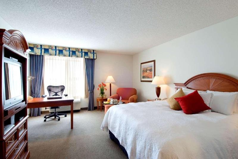 اتاق استاندارد با تخت بزرگ, Hilton Garden Inn Tulsa Airport