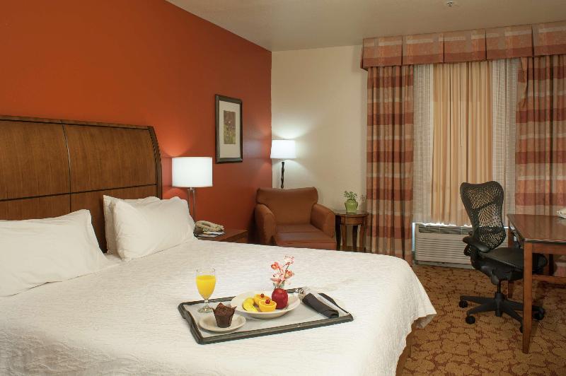 اتاق استاندارد با تخت بزرگ, Hilton Garden Inn Tulsa Airport