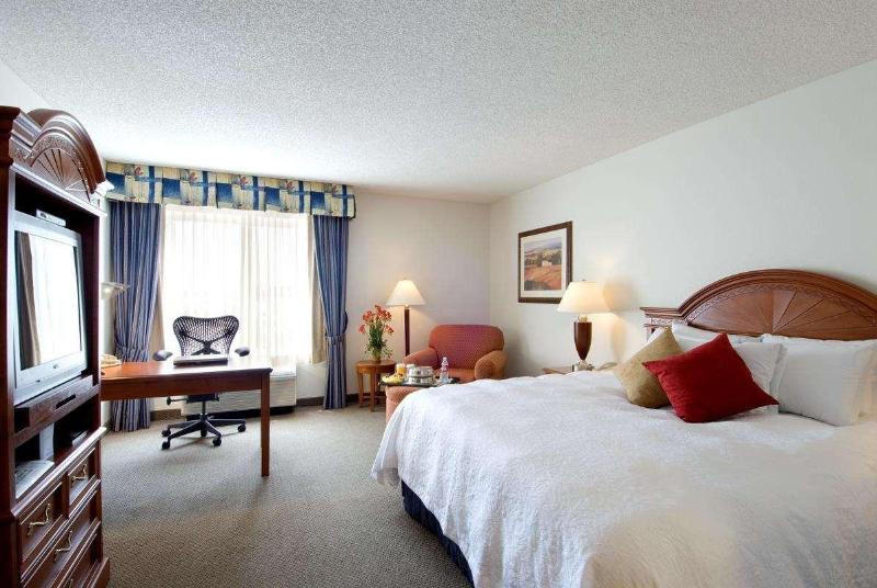 اتاق استاندارد با تخت بزرگ, Hilton Garden Inn Tulsa Airport