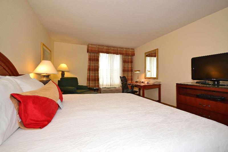 اتاق استاندارد با تخت بزرگ, Hilton Garden Inn Tulsa Airport
