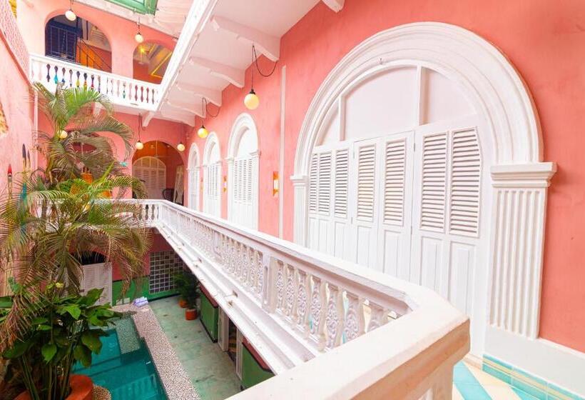 공동 객실, Casa Movida Hostel