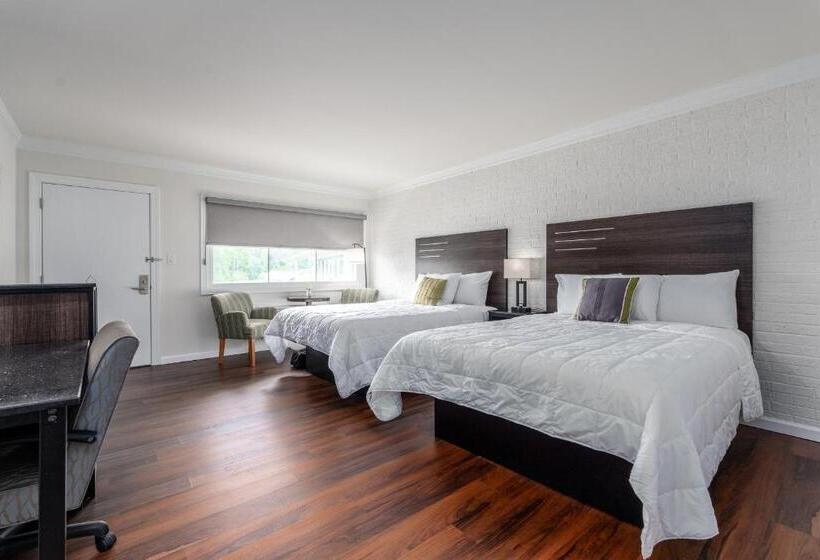 수피리어 룸, Crewe Boutique Inn