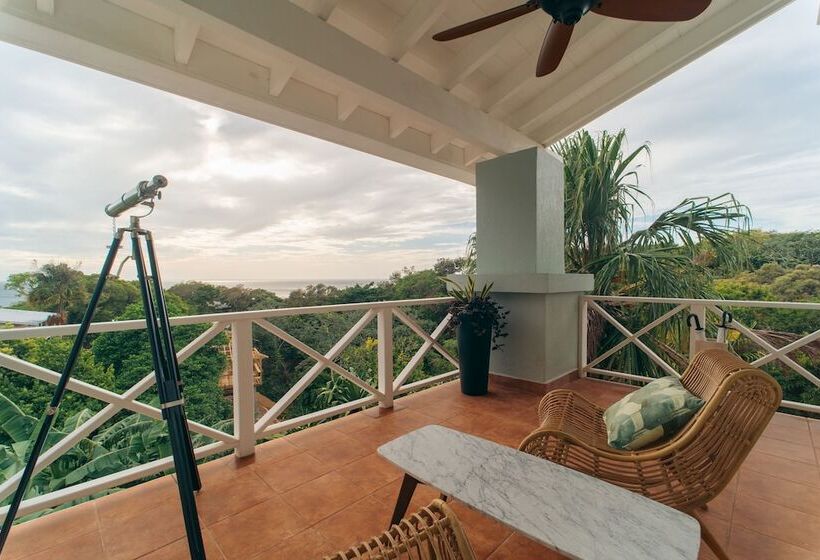 سوئیت با تخت بزرگ, Blue Roatan Resort