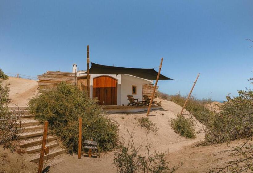 غرفة قياسية مزوَّدة بتراس, The White Lodge