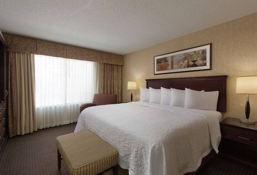 סוויטה מותאמת לאדם עם מוגבלויות, Embassy Suites Lubbock