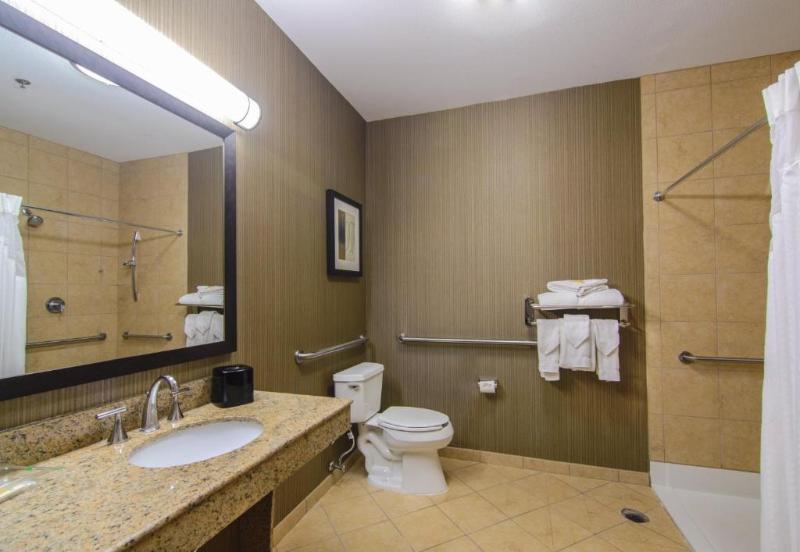 Habitació Estàndard Llit King Adaptada per a persones amb mobilitat reduïda, Holiday Inn Arlington Northeast, An Ihg
