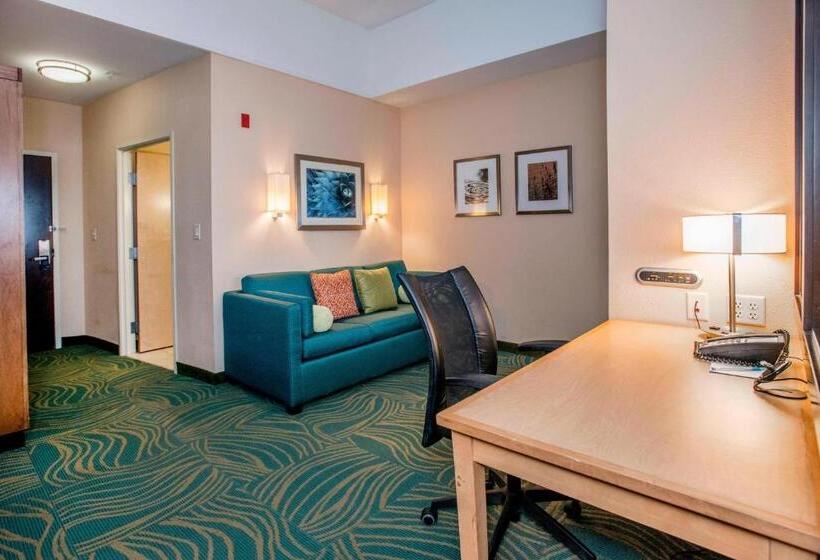 스위트, Springhill Suites By Marriott Pueblo Downtown