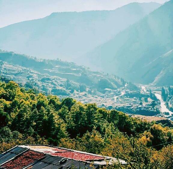 اتاق لوکس با تراس, The Postcard Dewa, Thimphu, Bhutan
