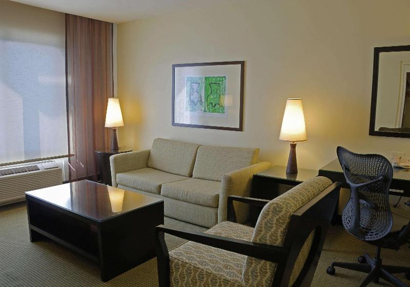 سوئیت با تخت بزرگ, Hilton Garden Inn Guanacaste Airport