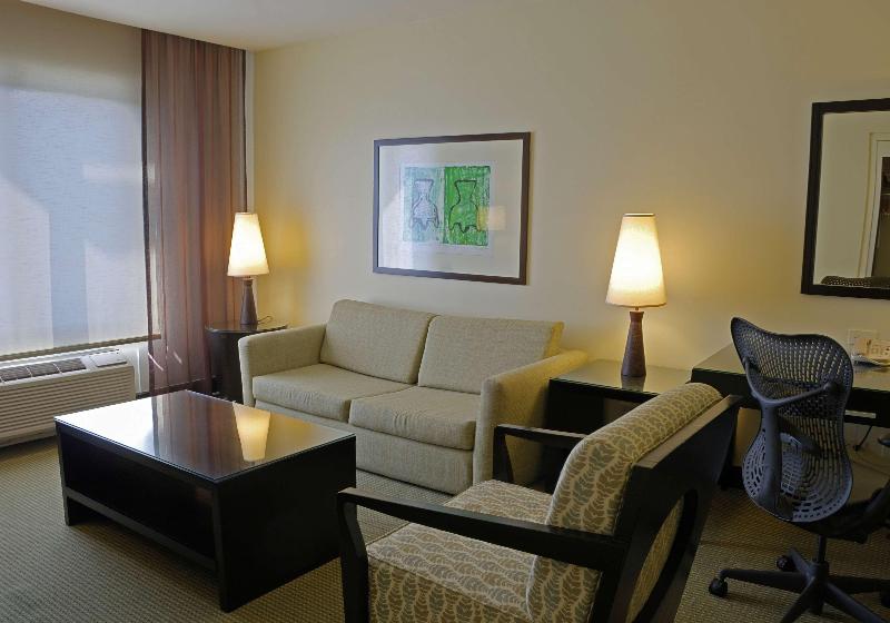 سوئیت با تخت بزرگ, Hilton Garden Inn Guanacaste Airport