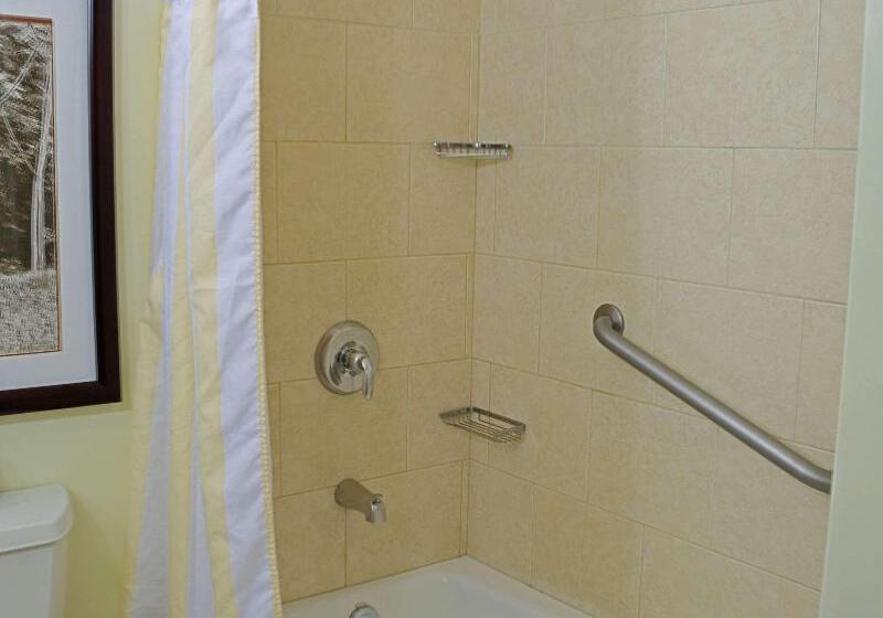 اتاق استاندارد با تخت بزرگ, Hilton Garden Inn Guanacaste Airport