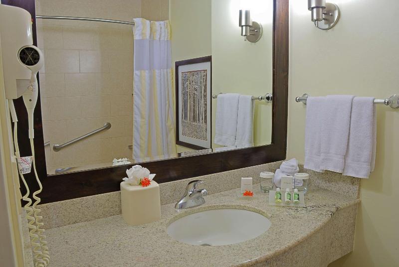 اتاق استاندارد با تخت بزرگ, Hilton Garden Inn Guanacaste Airport