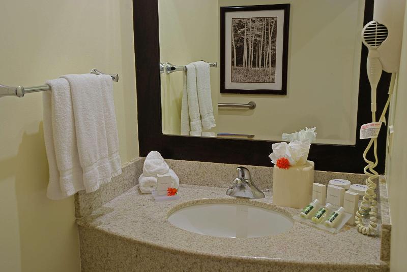 اتاق استاندارد با تخت بزرگ, Hilton Garden Inn Guanacaste Airport