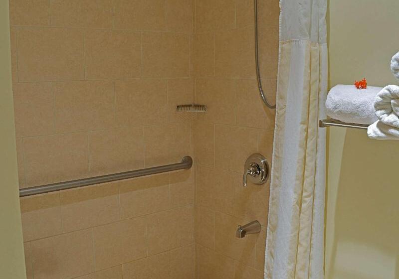 اتاق استاندارد با تخت بزرگ, Hilton Garden Inn Guanacaste Airport