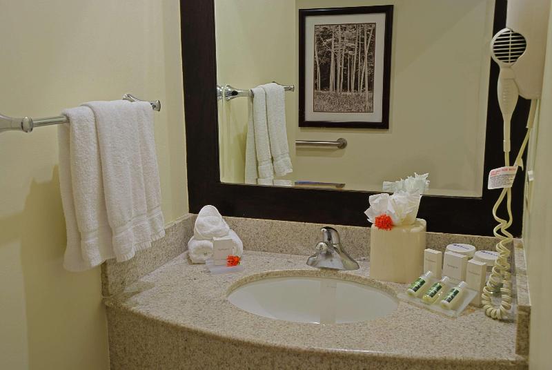 اتاق استاندارد با تخت بزرگ, Hilton Garden Inn Guanacaste Airport
