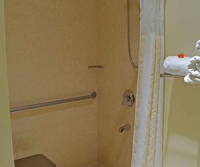 سوییت جونیور, Hilton Garden Inn Guanacaste Airport