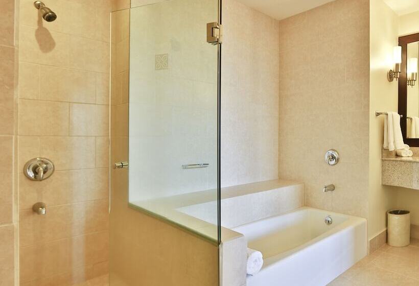 سوییت جونیور, Hilton Garden Inn Guanacaste Airport