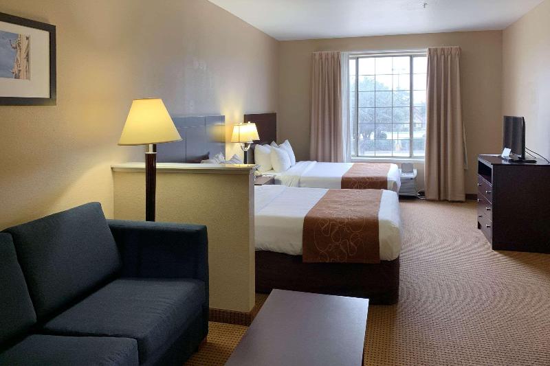 Люкс, Comfort Suites Roanoke   Fort Worth North
