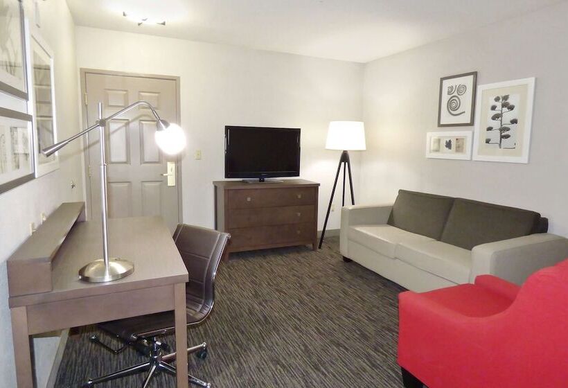 سوییت, Country Inn & Suites By Radisson, Tampa Brandon, Fl