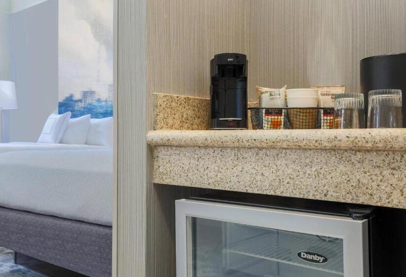 اتاق استاندارد با تخت بزرگ, Courtyard By Marriott Pittsburgh Downtown