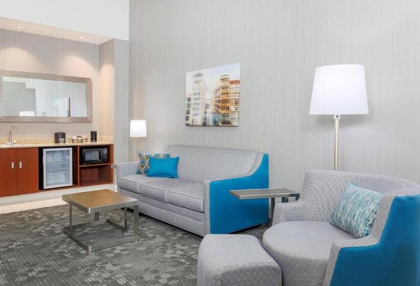سوئیت با تخت بزرگ, Courtyard By Marriott Pittsburgh Downtown