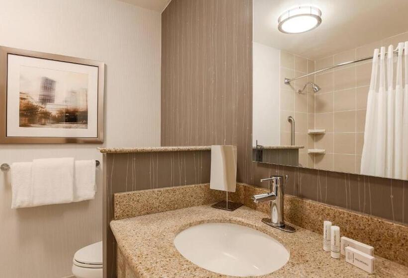 اتاق استاندارد با چشم‌انداز شهر, Courtyard By Marriott Pittsburgh Downtown