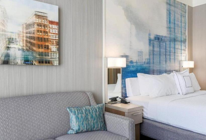 اتاق دلوکس مخصوص معلولین, Courtyard By Marriott Pittsburgh Downtown