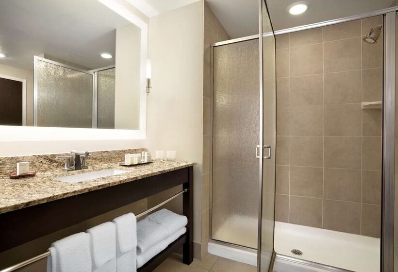 Номер Стандарт, Embassy Suites By Hilton Jackson North Ridgeland