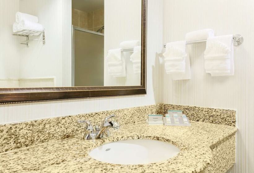 Номер Стандарт, Hilton Garden Inn Dallas Lewisville