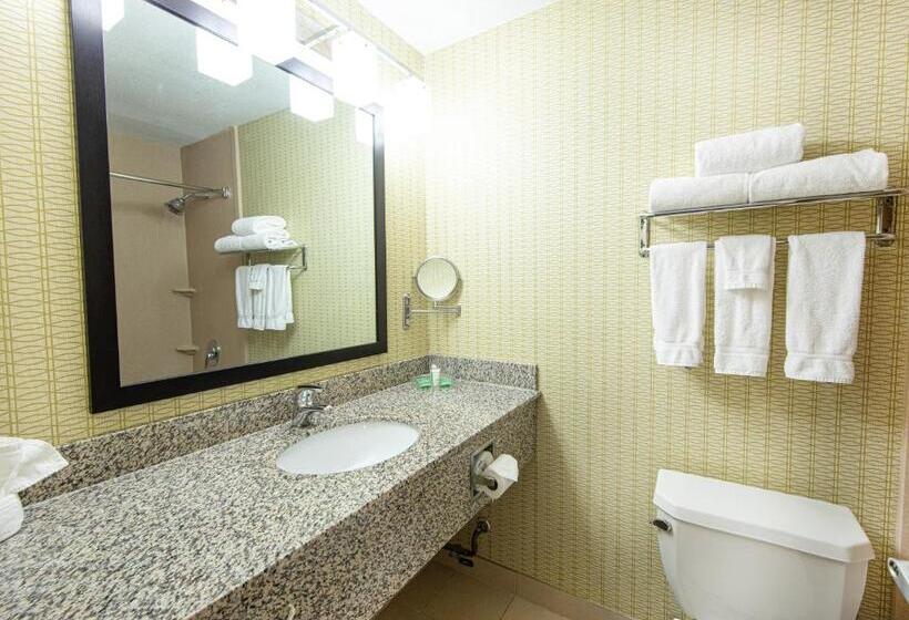 Номер Стандарт Адаптированный для Инвалидов, Holiday Inn St. Louis Airport West Earth City, An Ihg