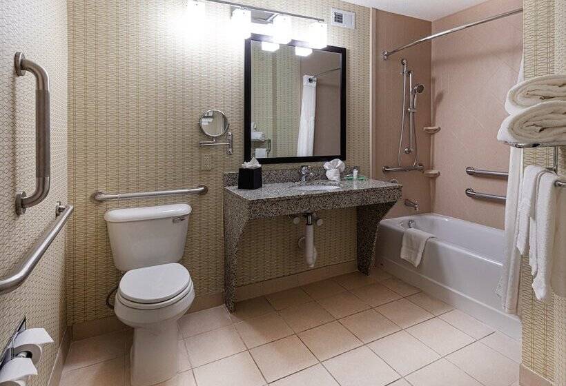 Люкс Адаптированный для Инвалидов, Holiday Inn St. Louis Airport West Earth City, An Ihg