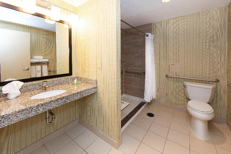 Номер Стандарт Кровать Кинг Адаптированный для Инвалидов, Holiday Inn St. Louis Airport West Earth City, An Ihg