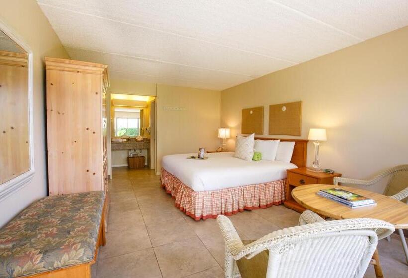 스탠다드 룸 킹사이즈 침대, Naples Garden Inn