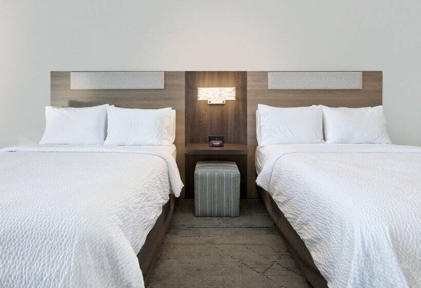 スイート, Holiday Inn Express & Suites North Dallas At Preston, An Ihg