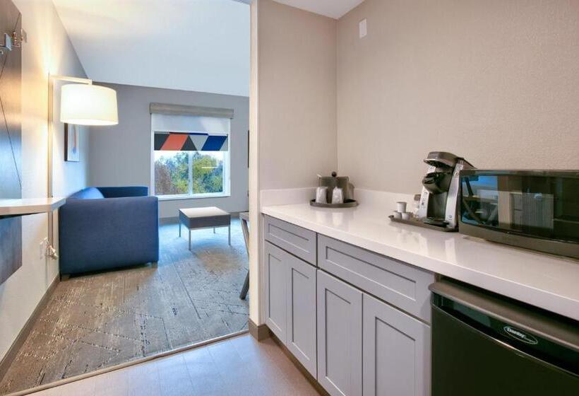 キングサイズベッドのデラックスルーム, Holiday Inn Express & Suites North Dallas At Preston, An Ihg
