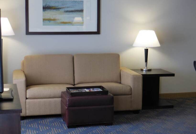 Suite Aangepast voor Gehandicapten, Homewood Suites By Hilton Louisvilleeast