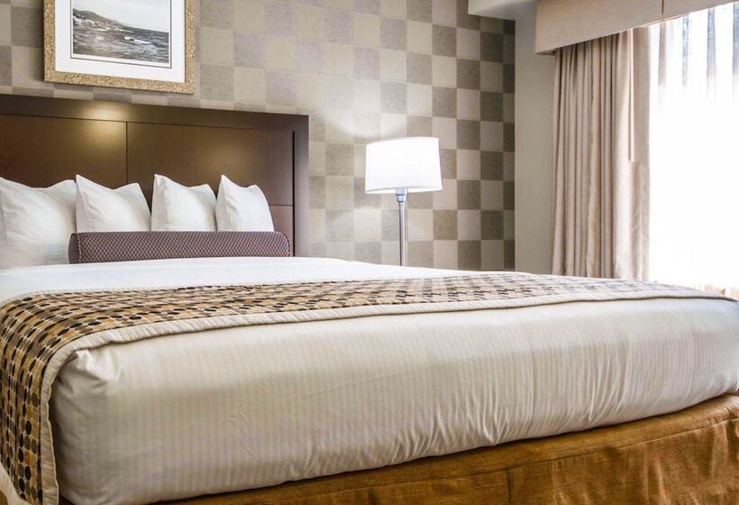 Люкс Адаптированный для Инвалидов, Med Park, Ascend Hotel Collection