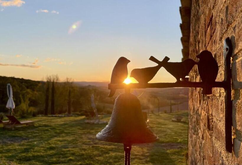 اتاق سوپریور, Vento D’orcia
