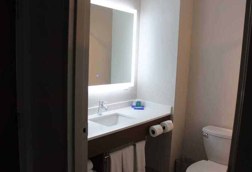 Quarto Estandar, Holiday Inn Express Orlando   South Davenport, An Ihg