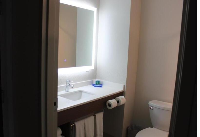 Quarto Deluxe, Holiday Inn Express Orlando   South Davenport, An Ihg